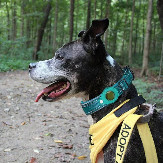 Smart GPS Dog Tracker Collar