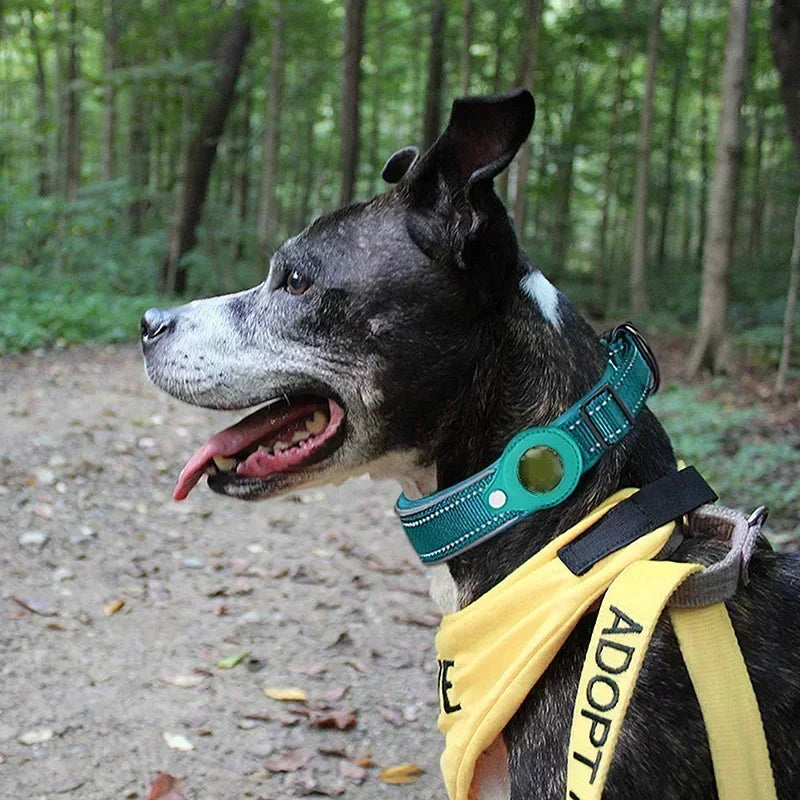 Smart GPS Dog Tracker Collar