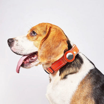 Smart GPS Dog Tracker Collar