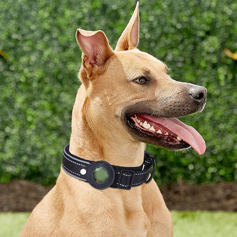 Smart GPS Dog Tracker Collar