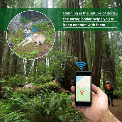 Smart GPS Dog Tracker Collar